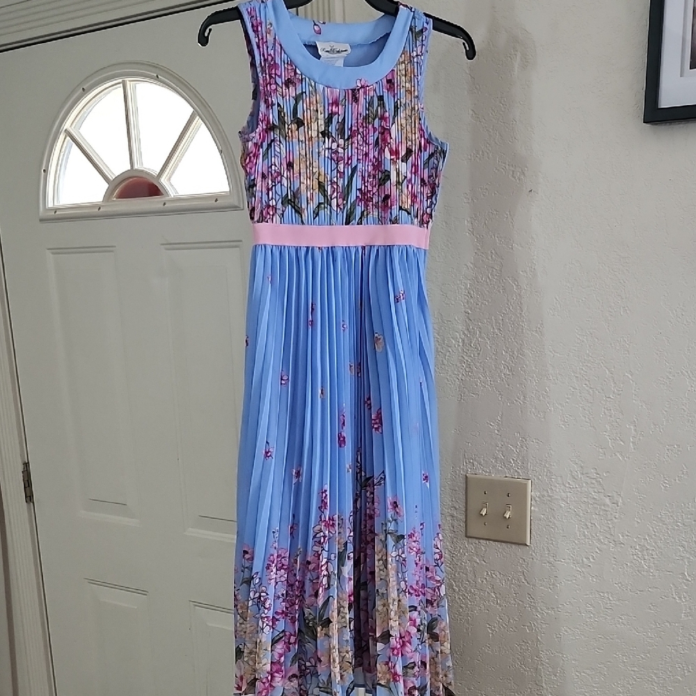Rare Editions Blue Floral Pleated Sundress with Pink Waistband
